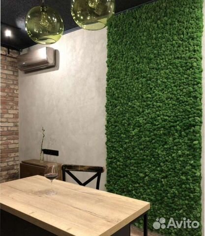 Стабилизированный мох Ягель