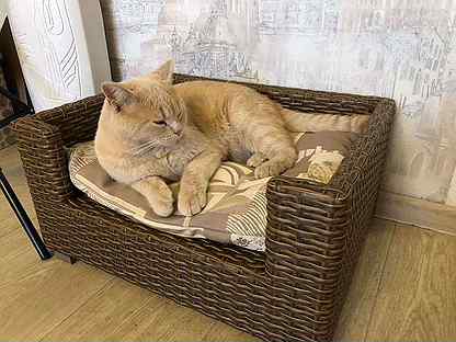 Кроватка для кошек, собак из эко-ротанга