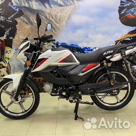 Альфа спорт 125 2019