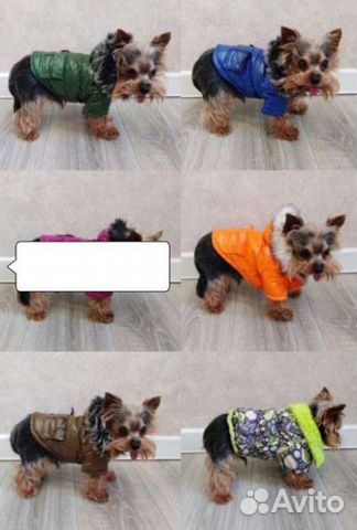 Одежда для собак мелких пород (скуратово-западный)