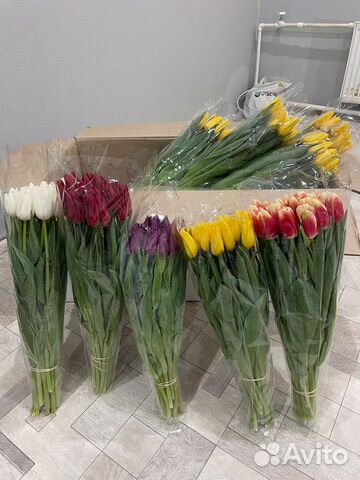 Тюльпаны к 8 марта доставка