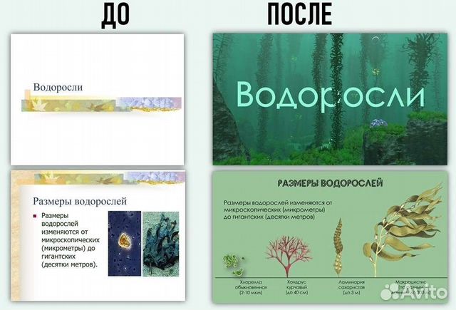 Презентации на заказ