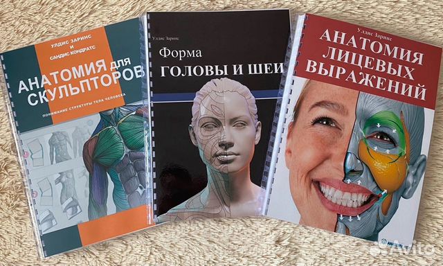 Анатомия для скульпторов