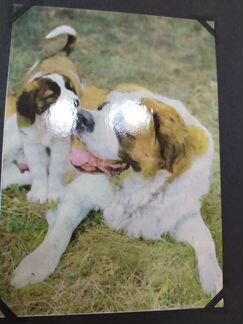 Коллекция открыток гдр 