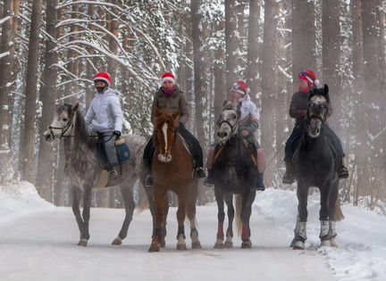 Прогулки на лошадях
