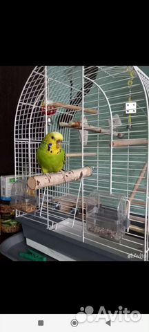 Игрушки для птиц,грызунов и других зверьков