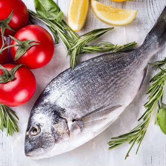 Дорадо, сибас