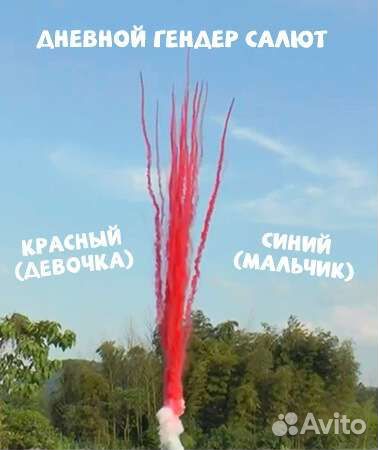 Салют фейерверк для гендер пати дневной