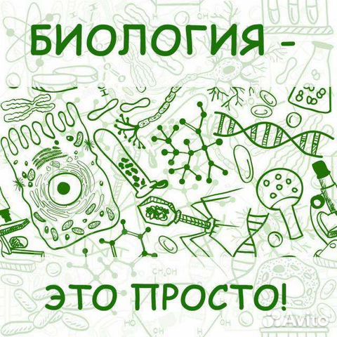 Репетитор по биологии огэ, егэ