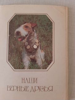 Открытки СССР,Собаки