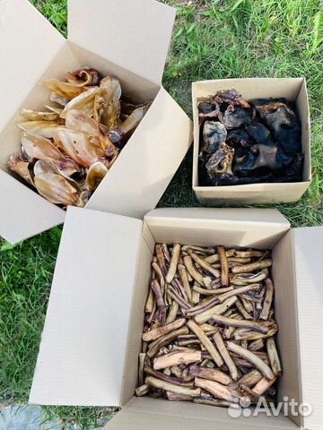 Сушеные лакомства для собак