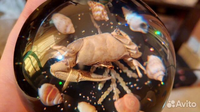 Краб и ракушки в шаре. Сувенир Море