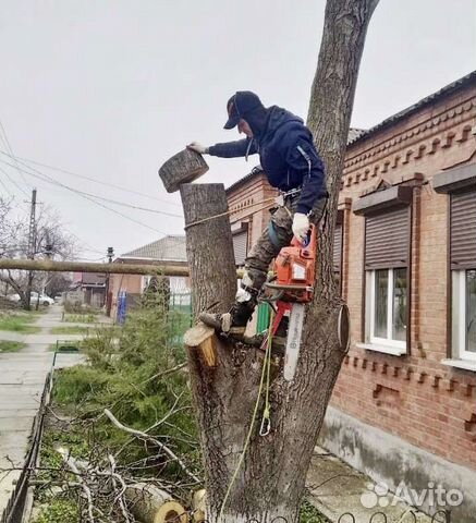 Спил деревьев Обрезка Вывоз Новочеркасск