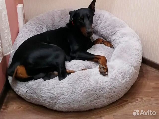 Лежанка для собак Бесплатная Доставка по России