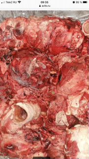 Корм для собак