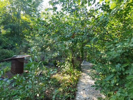 Дача 20 м² на участке 9,2 сот.