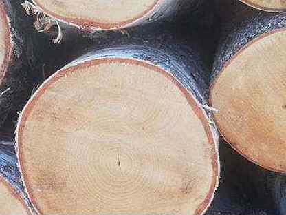 Продам дрова чурками и колотые