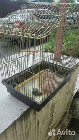 Клетка попугая/хомяка