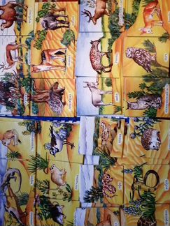 Развивающее лото Животные пустыни