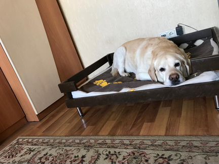 Лежаки для кошек и собак