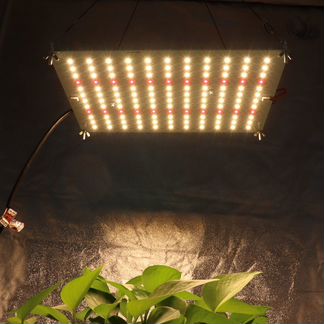 Фитосветильник Quantum Board 60 Вт + 660nm Epistar