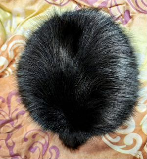 Шапка (песец)