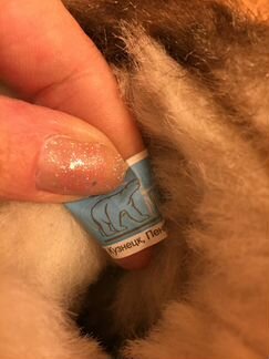 Зимние сапоги-унты натуральная кожа и мех