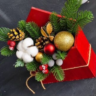 Экологические ёлки