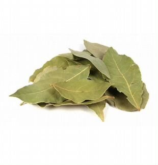 Лавровый лист - специя