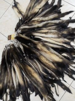 Хорёк мех. Хорь шкурки