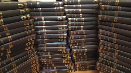 Вече,Коллекция исторических романов 74 кнги