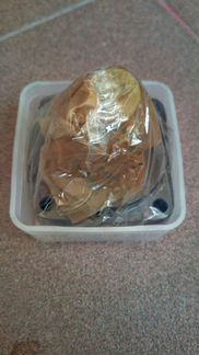 Плунжерная пара тнвд для 1HZ