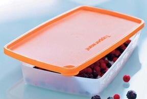 Охлаждающий лоток Е21 tupperware + эксклюзив