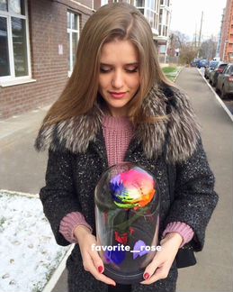 Роза в колбе. Быстрая Доставка. Большой Бутон