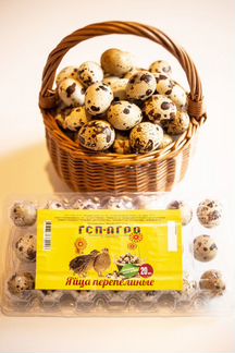 Фермерский гусь к новогоднему столу