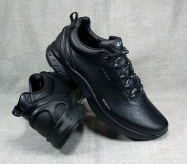 Ecco biom fjuel