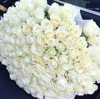 31роза,51роза, 101роза, букеты