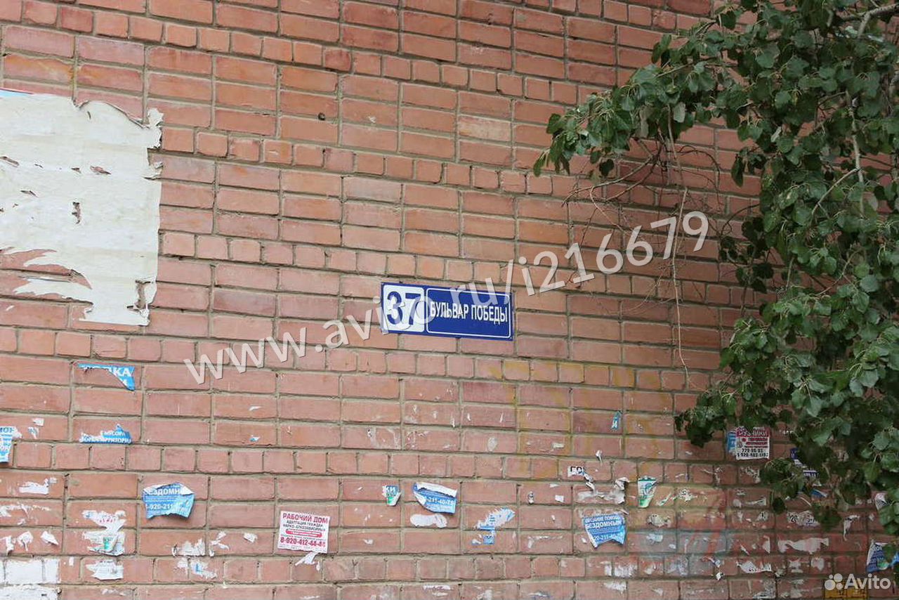 бульвар победы 37. бульвар победы 58 волгоград. бульвар победы 43 воронеж. бульвар победы 37. бульвар победы воронеж 1980.