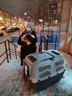 Клиппер-переноска для собак MPS Skudo