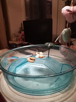 Террариум для черепашек