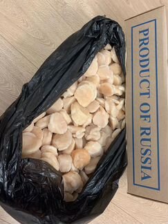 Гребешок штучный 10/20 шт