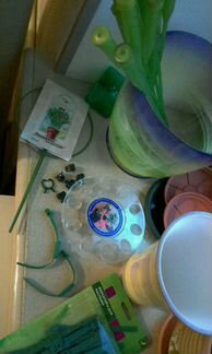 Цветы комн. Алоэ Горшки Кашпо Фиксаторы и др