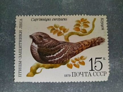Марка 15к 1979 год СССР Козодой